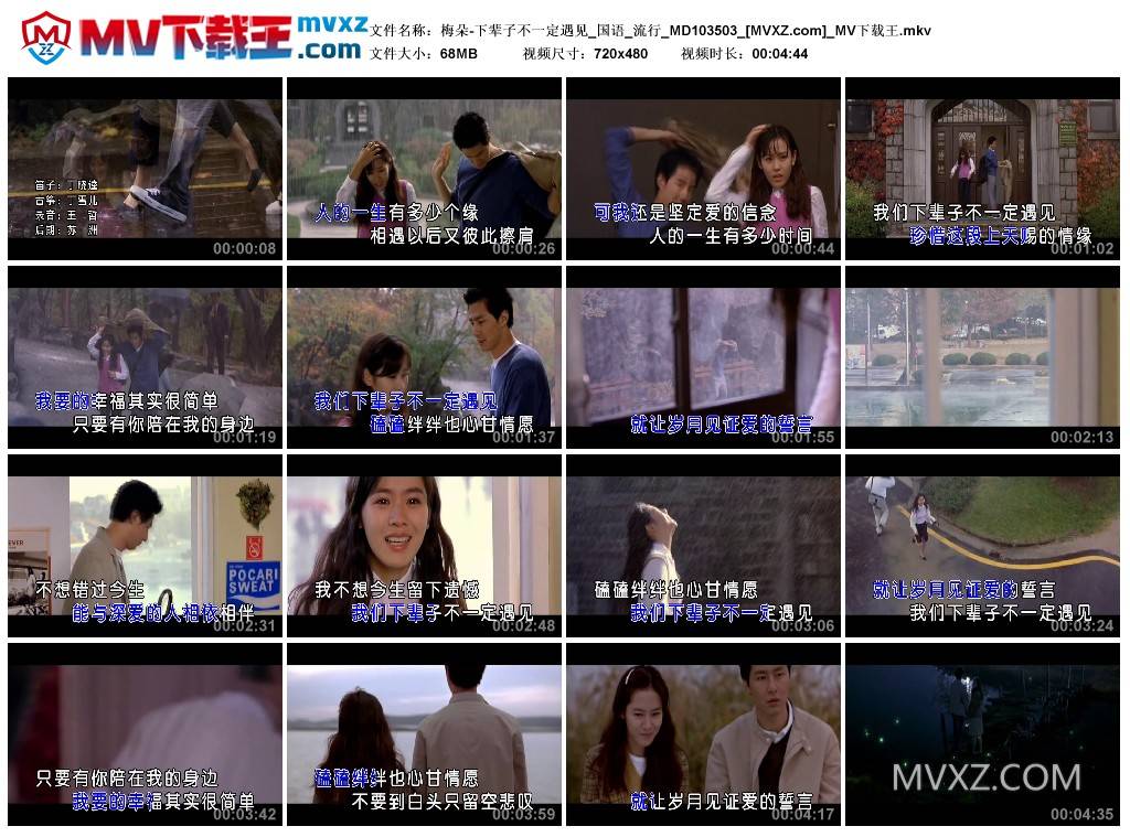 梅朵-下辈子不一定遇见_国语_流行_MD103503